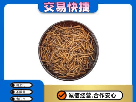 乌鲁木齐高价回收散虫草